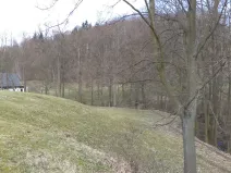 Prodej pole, Heřmanov - Fojtovice, 4633 m2