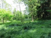 Prodej louky, Velký Šenov, 3266 m2