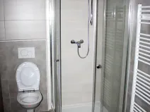 Pronájem bytu 2+1, Praha - Holešovice, Dělnická, 43 m2