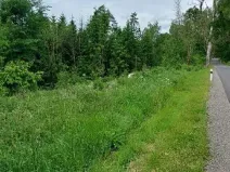 Prodej lesa, Častrov, 144 m2