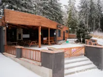 Prodej ubytování, Nová Bystřice - Albeř, 259 m2