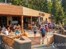 Prodej ubytování, Nová Bystřice - Albeř, 259 m2