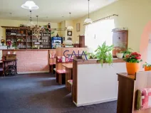 Pronájem ubytování, Veselí nad Moravou, Sadová, 170 m2