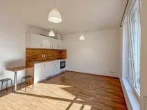 Pronájem bytu 1+kk, České Budějovice, Otakarova, 26 m2
