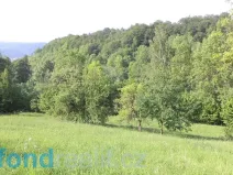 Prodej pole, Děčín - Děčín XXXIV-Chlum, 15764 m2