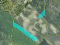 Prodej pole, Čejkovice, 76083 m2