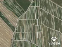 Prodej podílu pole, Moravský Žižkov, 1427 m2