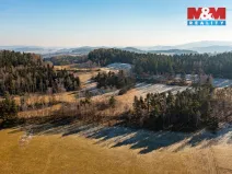 Prodej lesa, Nišovice, 12140 m2