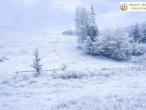 Prodej louky, Dlouhomilov, 7512 m2