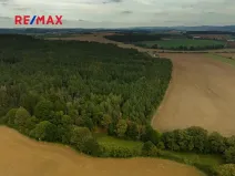 Prodej lesa, Všehrdy, 35057 m2