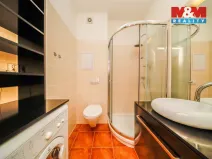 Pronájem bytu 1+kk, Plzeň - Jižní Předměstí, U Radbuzy, 29 m2