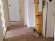 Pronájem bytu 2+1, Olomouc, Kaštanová, 61 m2