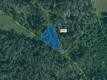Dražba lesa, Hradiště, 1028 m2