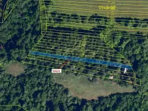 Dražba lesa, Ivančice, 507 m2