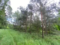 Prodej lesa, Blížejov - Lštění, 4624 m2