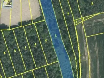 Prodej lesa, Blížejov - Lštění, 4624 m2