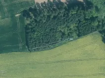 Prodej lesa, Zastávka, 11212 m2