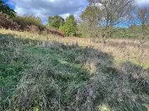 Prodej lesa, Březolupy, 1340 m2