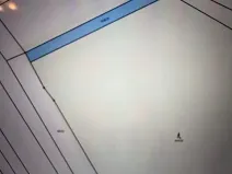 Prodej lesa, Březolupy, 910 m2