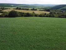 Dražba pole, Dobrkovice, 30944 m2