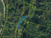 Prodej lesa, Řepníky, 562 m2