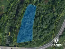 Prodej lesa, Ostrava, 6236 m2