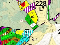 Dražba lesa, Rabí, 7006 m2