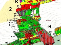 Dražba lesa, Stehlovice, 11078 m2