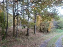 Dražba pole, Jiříkov, 2813 m2