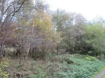 Dražba pole, Jiříkov, 2813 m2