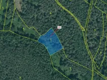 Dražba lesa, Jesenice, 1924 m2