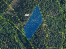 Dražba lesa, Jílové u Držkova, 6213 m2