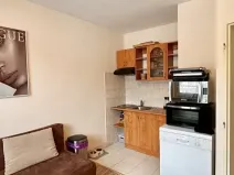 Prodej bytu 1+1, Karlovy Vary, Lidická, 36 m2