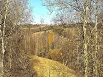 Prodej zahrady, Hostinné, 1147 m2