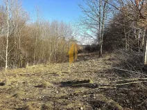 Prodej zahrady, Hostinné, 1147 m2