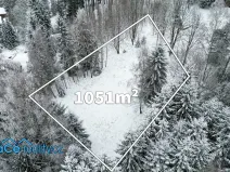 Prodej pozemku pro bydlení, Deštné v Orlických horách, 1051 m2
