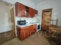 Prodej bytu 1+kk, Jeseník, Lipovská, 24 m2