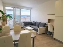 Pronájem bytu 1+kk, Brno, Vídeňská, 32 m2