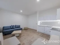 Pronájem bytu 1+kk, Přerov - Přerov I-Město, Husova, 30 m2