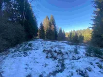 Prodej pozemku, Čachrov - Javorná, 2391 m2