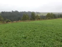 Prodej pozemku, Nové Hrady, 2679 m2