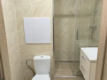 Pronájem bytu 1+1, Teplice - Trnovany, U Vlastního krbu, 35 m2