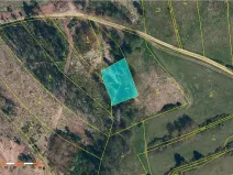 Prodej lesa, Vyskytná nad Jihlavou, 1283 m2