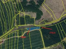 Prodej lesa, Popelín, 2730 m2