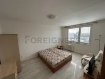 Pronájem bytu 1+1, Pardubice, U Josefa, 47 m2