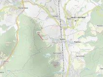 Dražba lesa, Spešov, 500 m2