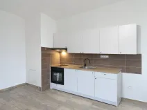 Pronájem bytu 3+1, Ústí nad Labem - Krásné Březno, V Oblouku, 72 m2