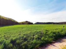 Prodej pole, Blíževedly, 28865 m2
