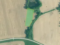 Prodej pole, Olešník, 67455 m2