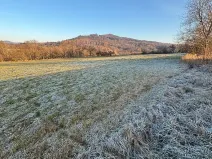 Prodej komerčního pozemku, Velká Bukovina, 20188 m2
